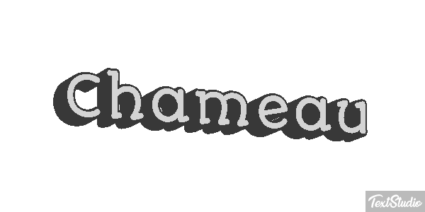 Chameau Effet de texte
