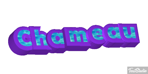Chameau Effet de texte