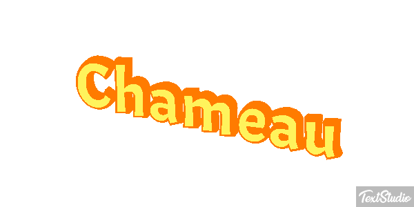 Chameau Effet de texte