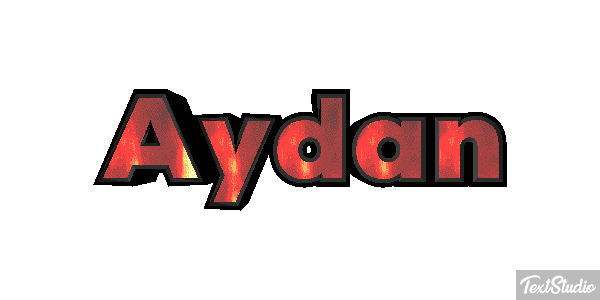 Aydan Metin efekti