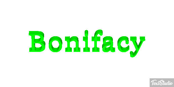 Bonifacy Efekt tekstowy