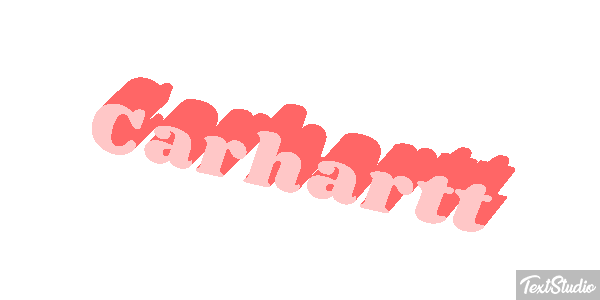 Carhartt Effetto testo