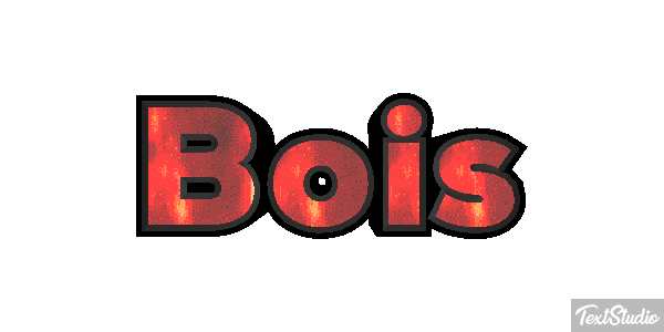 Bois Texteffekt