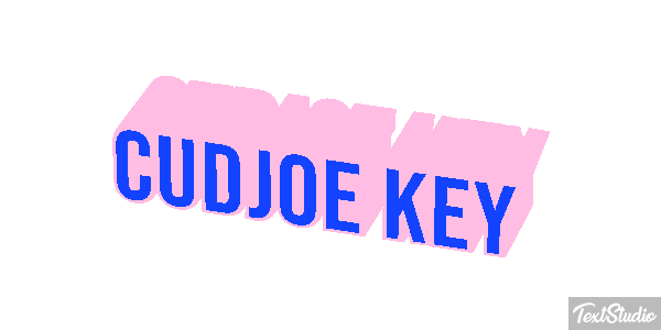 Cudjoe Key Efekt tekstowy