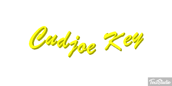 Cudjoe Key Efekt tekstowy