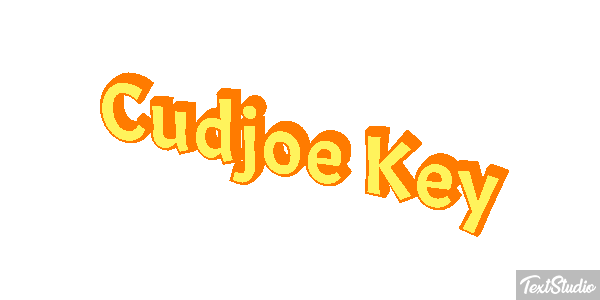 Cudjoe Key Efekt tekstowy