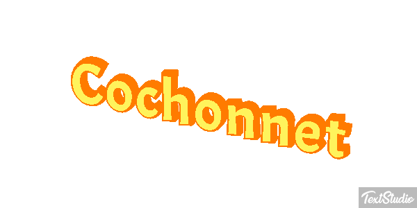 Cochonnet Effet de texte