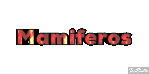 Mamíferos Efeito do texto