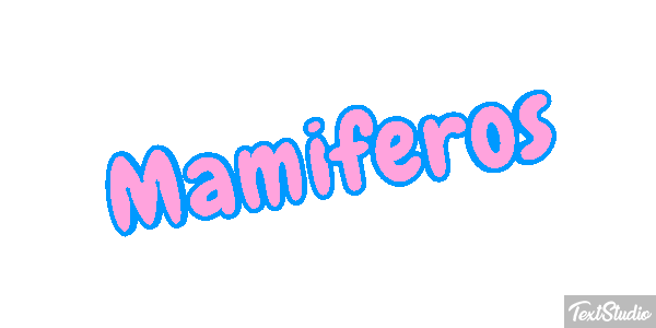 Mamíferos Efeito do texto