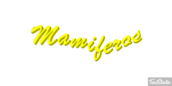 Mamíferos Efeito do texto