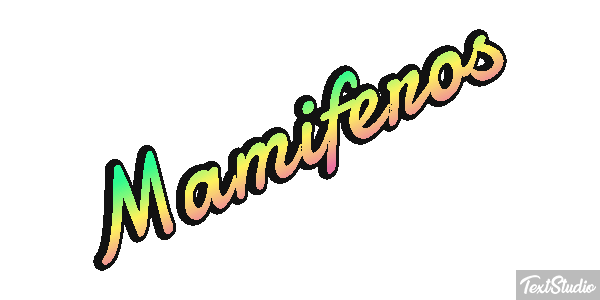 Mamíferos Efeito do texto