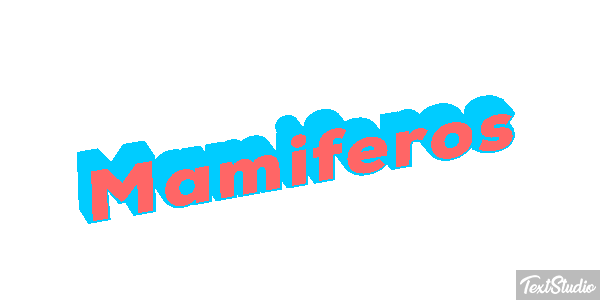 Mamíferos Efeito do texto