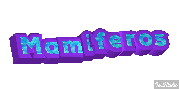 Mamíferos Efeito do texto