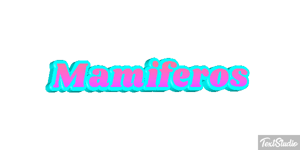 Mamíferos Efeito do texto