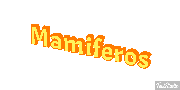 Mamíferos Efeito do texto