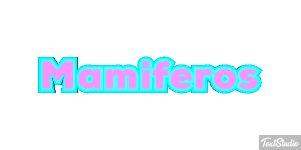 Mamíferos Efeito do texto