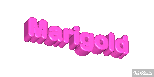 Marigold Efekt tekstowy