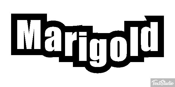 Marigold Efekt tekstowy