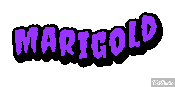Marigold Efekt tekstowy