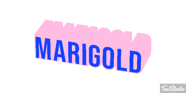 Marigold Efekt tekstowy