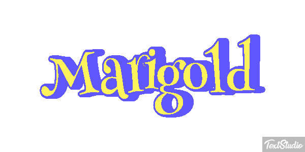 Marigold Efekt tekstowy