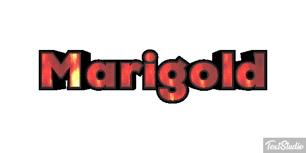 Marigold Efekt tekstowy