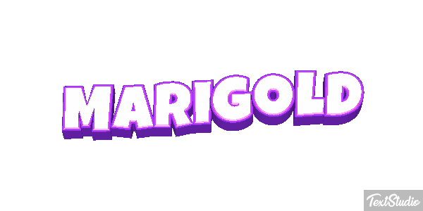Marigold Efekt tekstowy