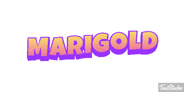 Marigold Efekt tekstowy