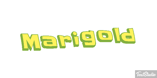 Marigold Efekt tekstowy