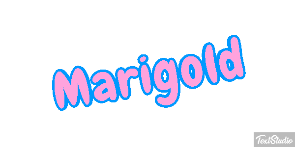 Marigold Efekt tekstowy