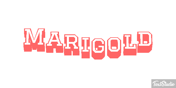 Marigold Efekt tekstowy