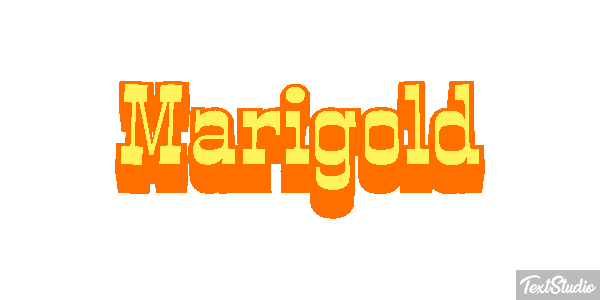 Marigold Efekt tekstowy