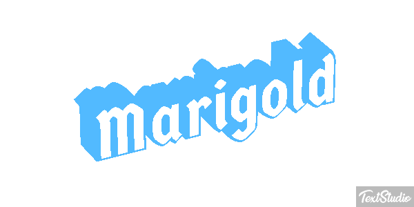 Marigold Efekt tekstowy