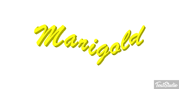 Marigold Efekt tekstowy