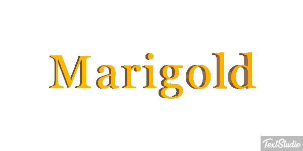 Marigold Efekt tekstowy
