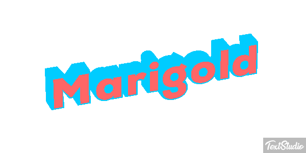 Marigold Efekt tekstowy