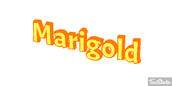 Marigold Efekt tekstowy