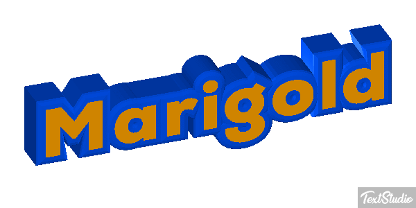 Marigold Efekt tekstowy