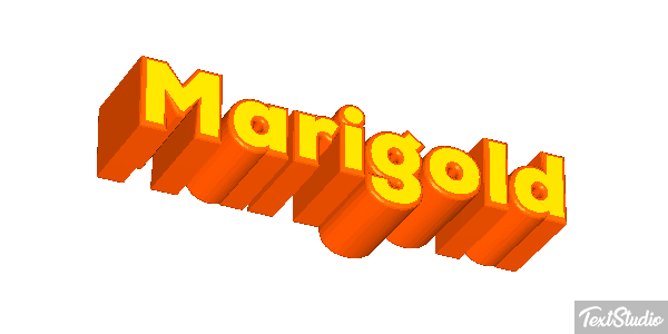 Marigold Efekt tekstowy