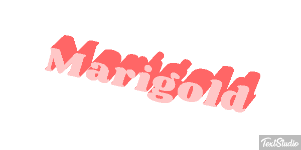 Marigold Efekt tekstowy