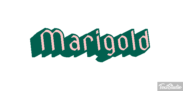 Marigold Efekt tekstowy