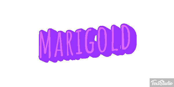 Marigold Efekt tekstowy