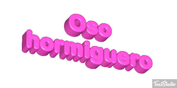 Oso hormiguero Metin efekti