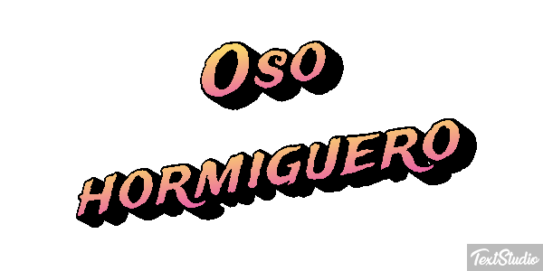 Oso hormiguero Metin efekti