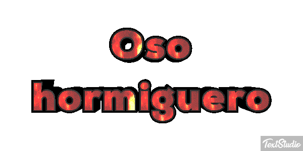 Oso hormiguero Metin efekti