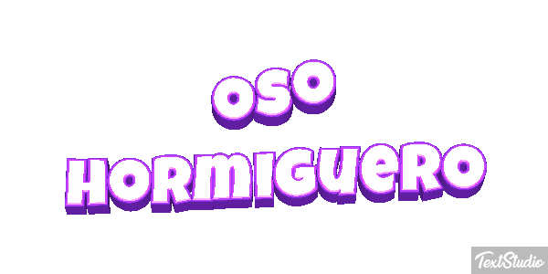 Oso hormiguero Metin efekti