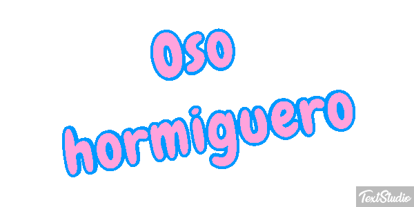 Oso hormiguero Metin efekti