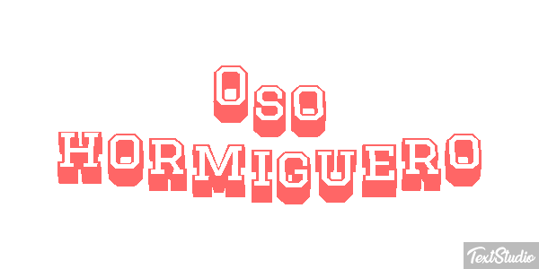 Oso hormiguero Metin efekti