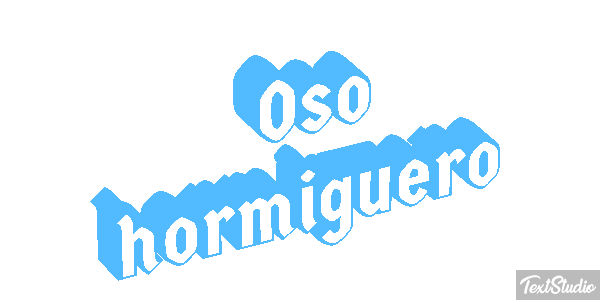 Oso hormiguero Metin efekti