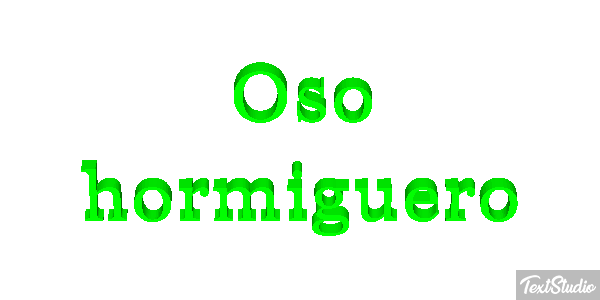 Oso hormiguero Metin efekti